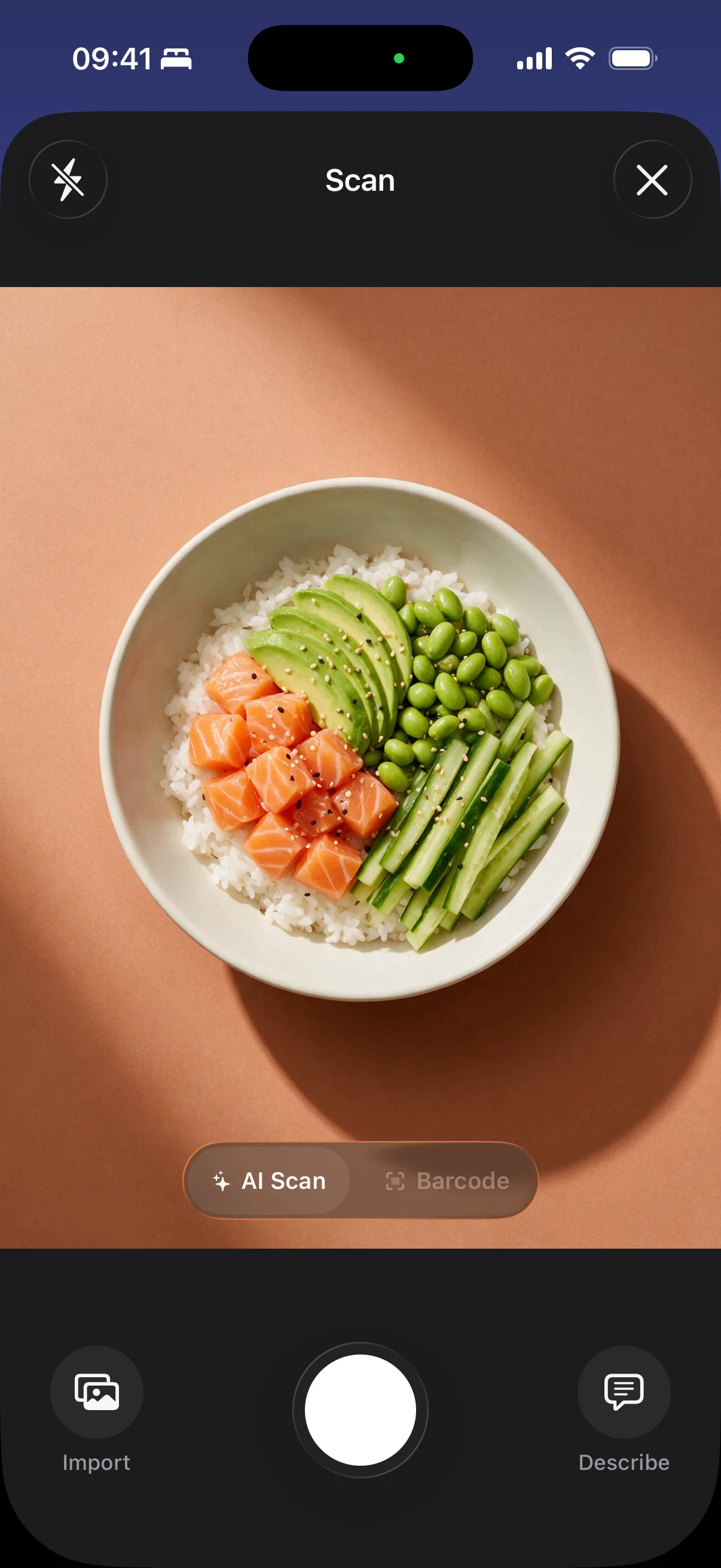 Frulo's AI food scanner analyzing a photographed meal and returning its calories, protein, carbs and fat